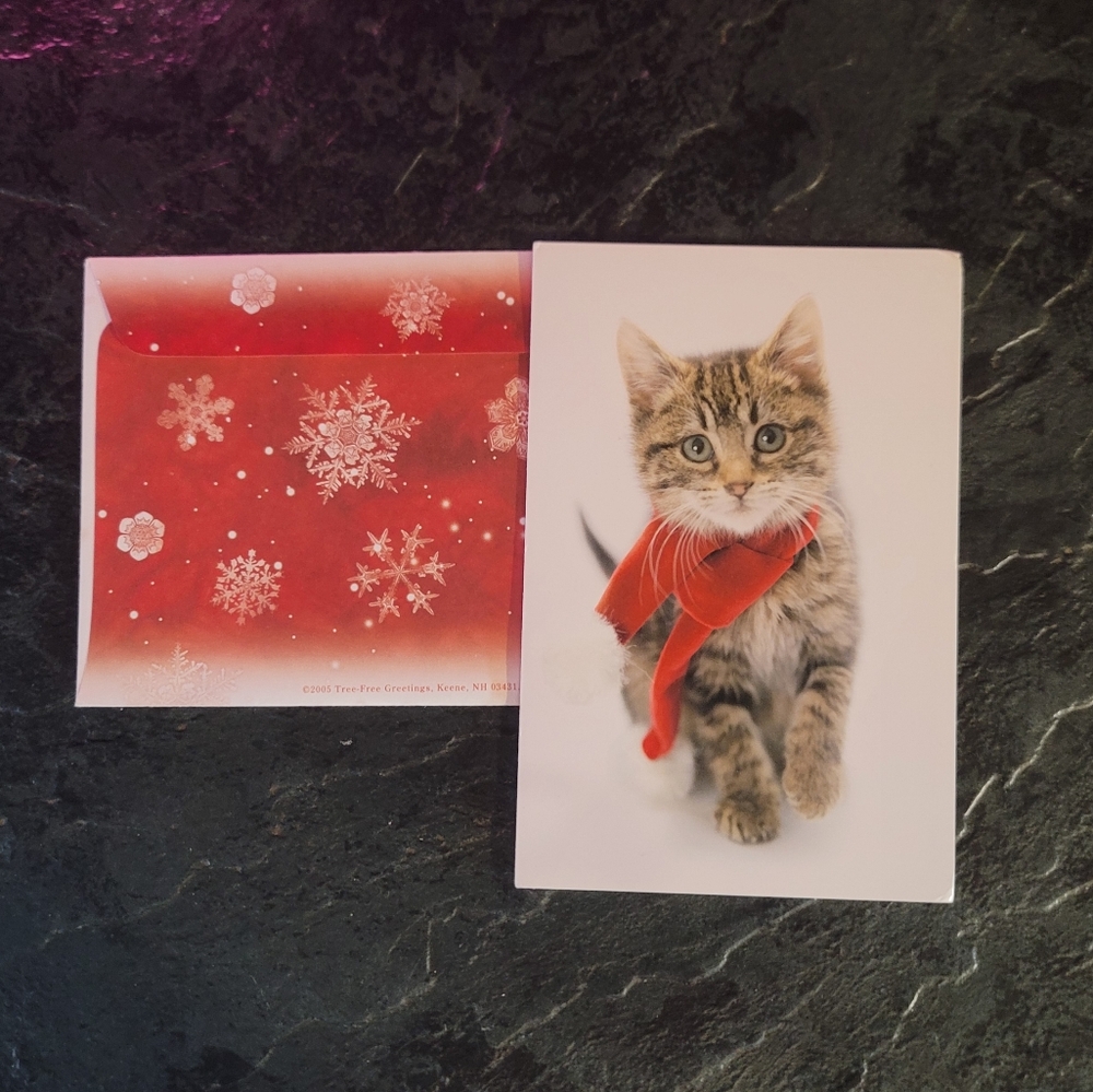 10 GREETING CARDS WITH 10 ENVELOPES